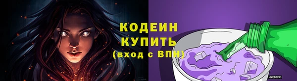 соль ск Бородино