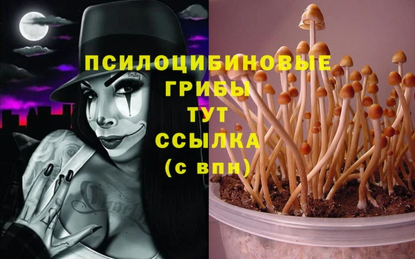 спайс Верея