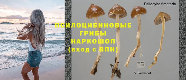 спайс Верея