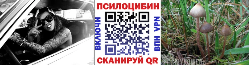 гидра зеркало  Зеленоградск  Галлюциногенные грибы мухоморы 